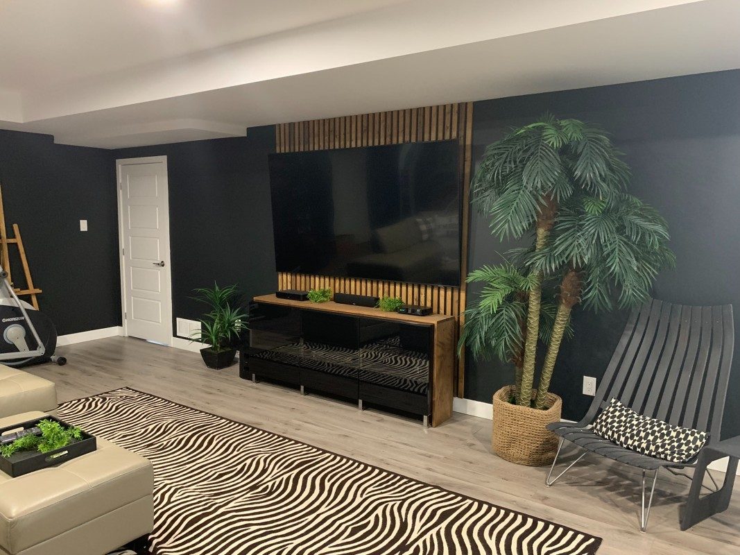 1Basement Renovations